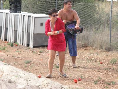 Camping Vinar&ograve;s – Fiesta de la Tomatina